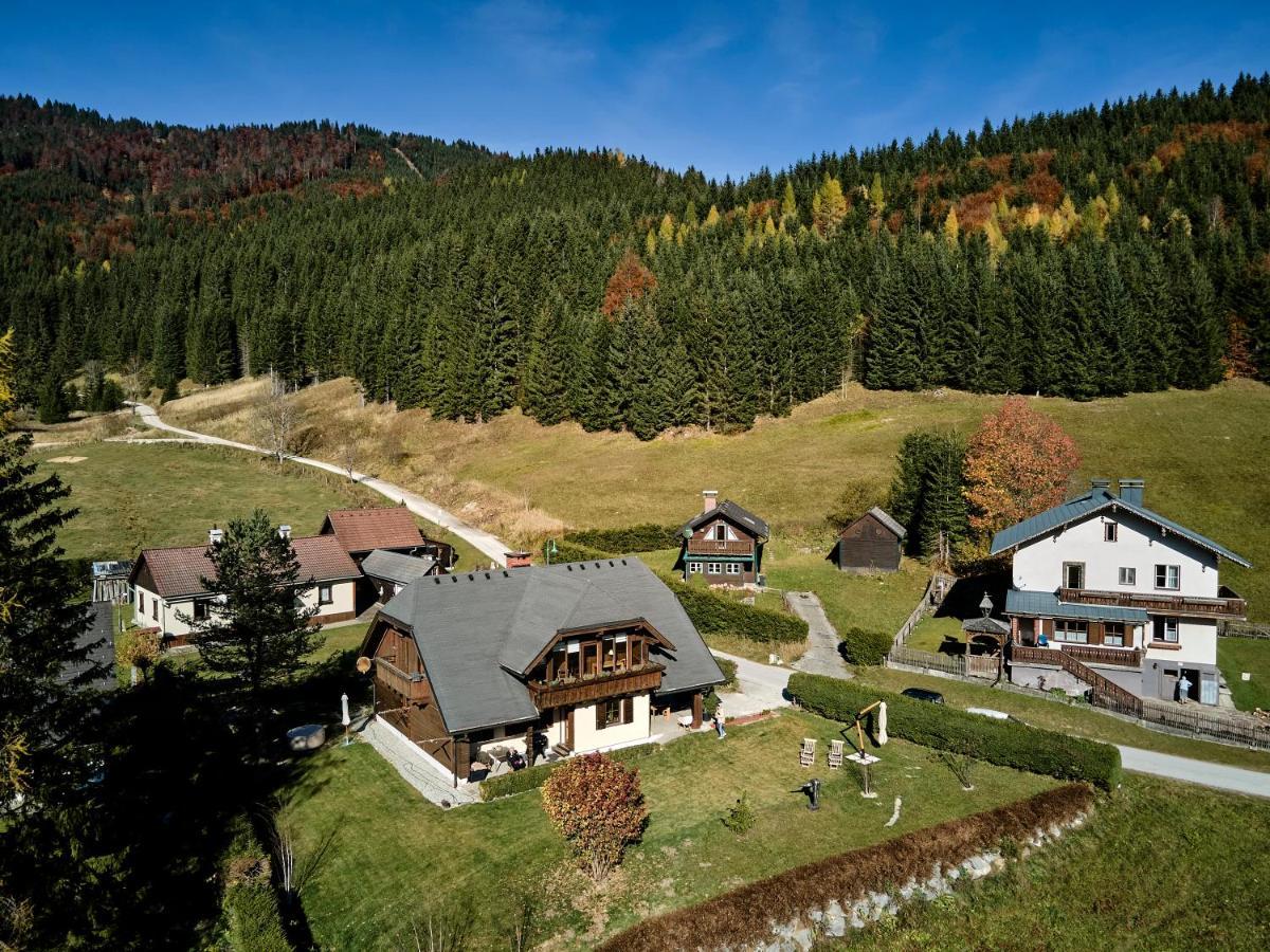 Frein Chalets - Wildalm Frein an der Murz Zewnętrze zdjęcie