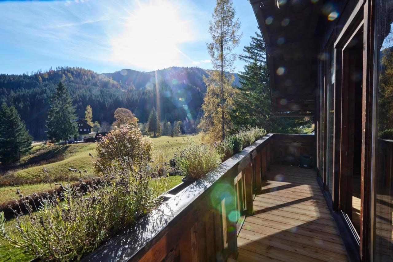 Frein Chalets - Wildalm Frein an der Murz Zewnętrze zdjęcie